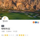 라베스크린골프 이미지