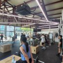 크로스핏 뉴블랙 이미지