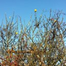 탱자네민박 이미지