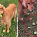 동원빌딩 이미지