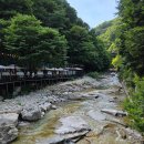 삼거리펜션민박 | 물놀이 명소 여행후기 민박 펜션 계곡평상 식당 2025 실시간 여름휴가 팁 경량패딩필 방갈로 백숙...