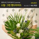 꽃그린학교