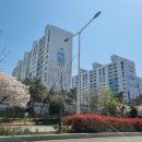 하단동106 이미지