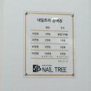 네일트리 이미지