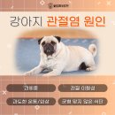 형곡동물병원 이미지