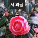 타샤의 정원 / 임명실 이미지