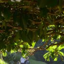 해금강농장 이미지