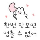 요거트아이스크림의정석문성원호점