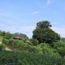 대곡면-8 이미지