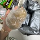 비봉화석지 화장실 | 보성 디노 글램핑장에 다녀왔어요! 솔직 후기