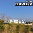 맥도생태공원(구포대교 밑 대저생태공원 관리사무소 앞) | 부산 대저생태공원 자전거 대여소 캠핑장 가까운 주차장 위치 정보