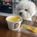 견생제과점 이미지