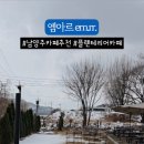 RR버거 이미지