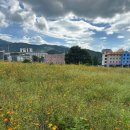 구례군청소년수련원 이미지