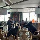 둔내고등학교 이미지