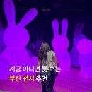 주식회사 아르떼 | 아르떼뮤지엄 부산 할인받아 가는 방법 여행특공대 예약 데이트 추천