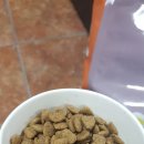 나비팜스 이미지