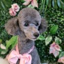 그루밍140 이미지