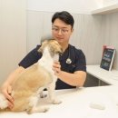 뉴로동물의료센터 이미지