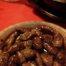 투다리(복돼지점) 이미지