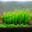 유경2호 이미지