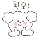 진도애견훈련소 이미지