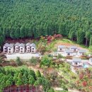 사천 케이블카 자연휴양림 이미지