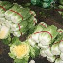 공덕 시티하우스 이미지