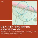 배곧인터내셔널