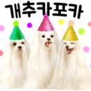 자닮세무회계세무사송애경사무소 이미지