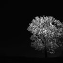 원봉1리 마을회관 이미지