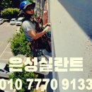 와우리 신명아파트앞 이미지