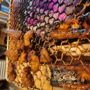 산월 | 대청역맛집 🥩산월숯불갈비 방문 후기