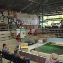 코끼리가든 이미지