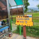 황산공원 미니기차 이미지