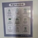 골드독 이미지