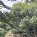 용추휴게소 화장실 이미지