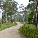 양대사마 실기 목판 | 논산 가볼 만한 곳, 세계유산 등재된 한국의 서원, 돈암서원을 찾아서