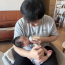 봉선호