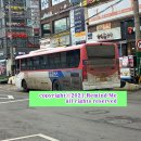 영태3리 이미지