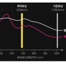 글로빔 이미지