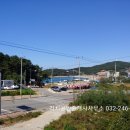 영종도하늘도시구읍뱃터공인중개사사무소 이미지
