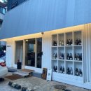 _서운로23길1-29 | 양재천 벚꽃 실시간 개화 상황: 양재주민 명당 데이트 코스 주차