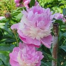 검단노인복지관(6) 이미지