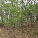 서봉산 산림욕장 1 네이버블로그