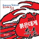 강원붉은대게 국민일보