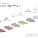 보니따(Bonita)