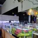 작은연못 | (인천 중구) 아이와 가기 좋은 수족관 카페 "작은 연못" 내돈내산 후기