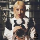 핑크판타지 카카오 검색결과