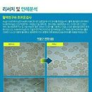 에잇플러스 이미지